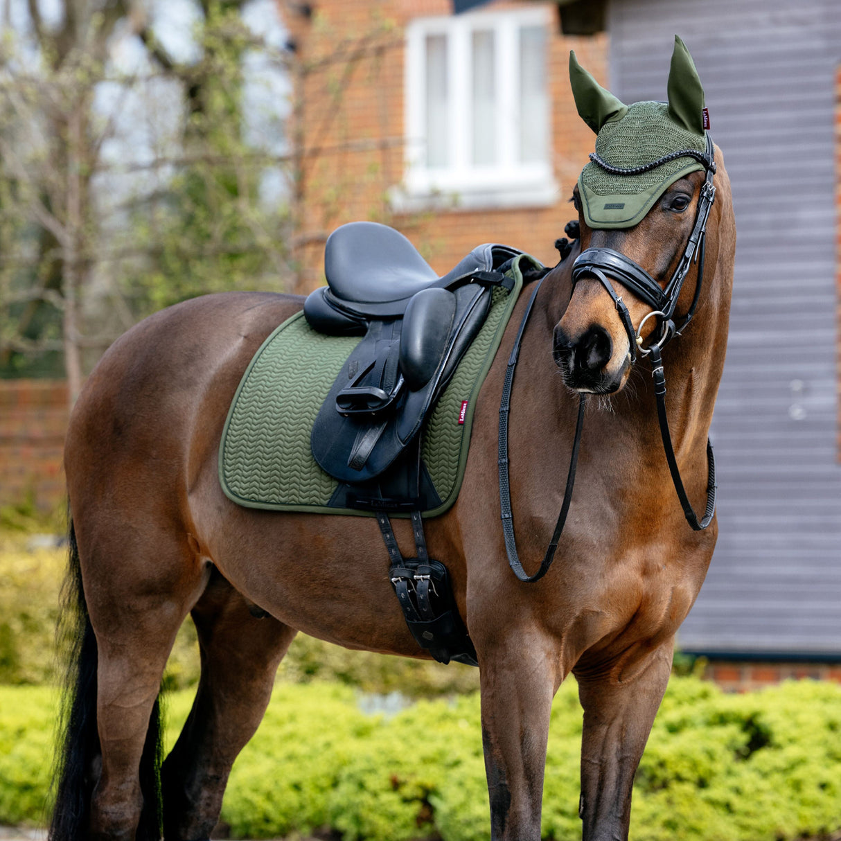 Tapis de selle de dressage LeMieux Essence