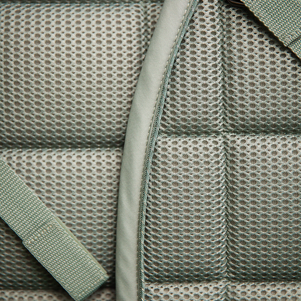 Tapis de selle de dressage BR Idzard