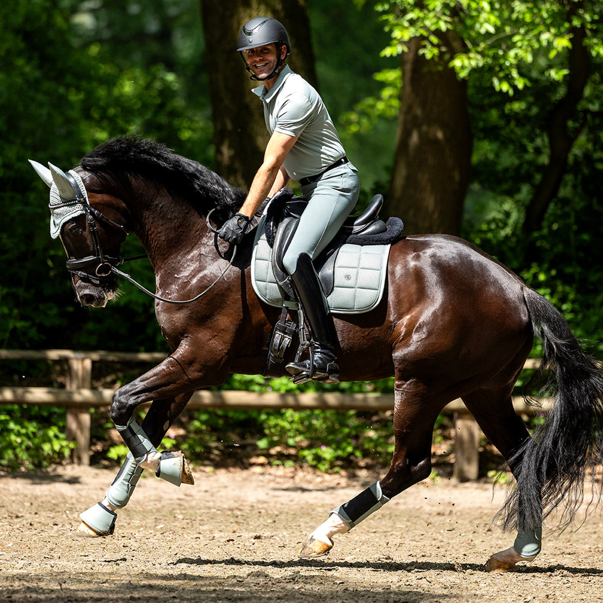 Tapis de selle de dressage BR Idzard