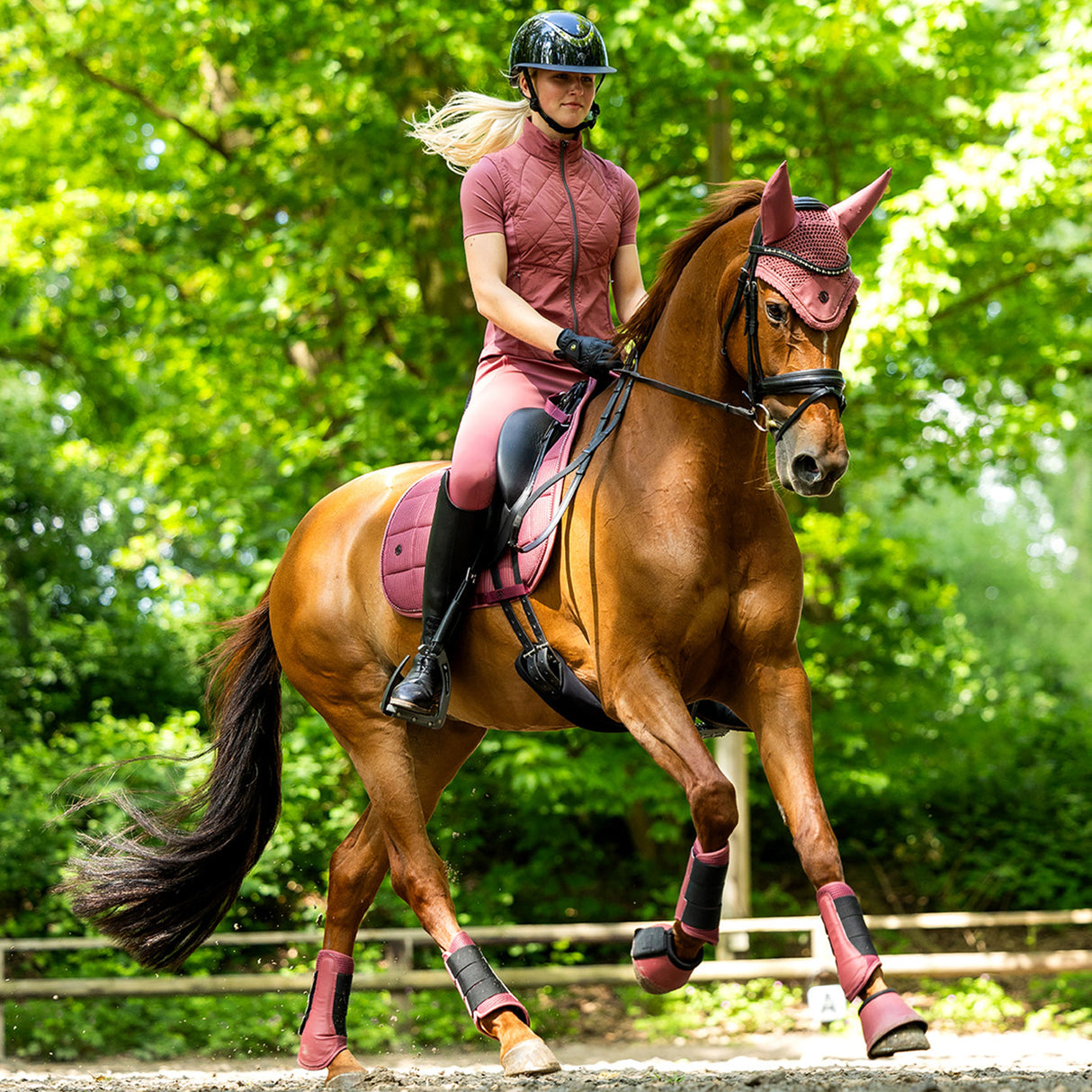 Tapis de selle de dressage BR Idzard