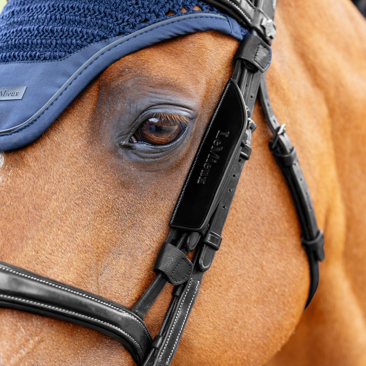 Œillères de bride en cuir LeMieux