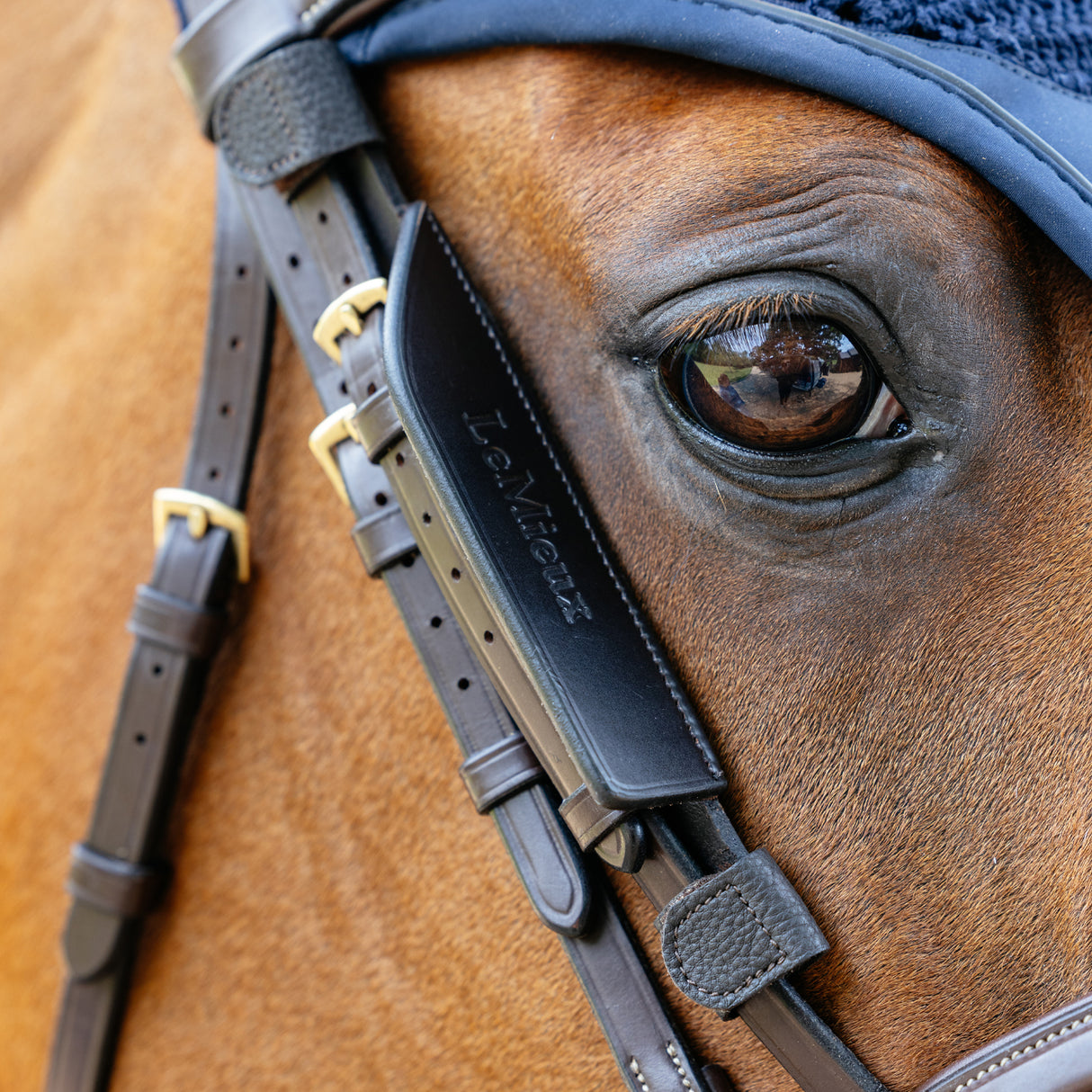 Œillères de bride en cuir LeMieux