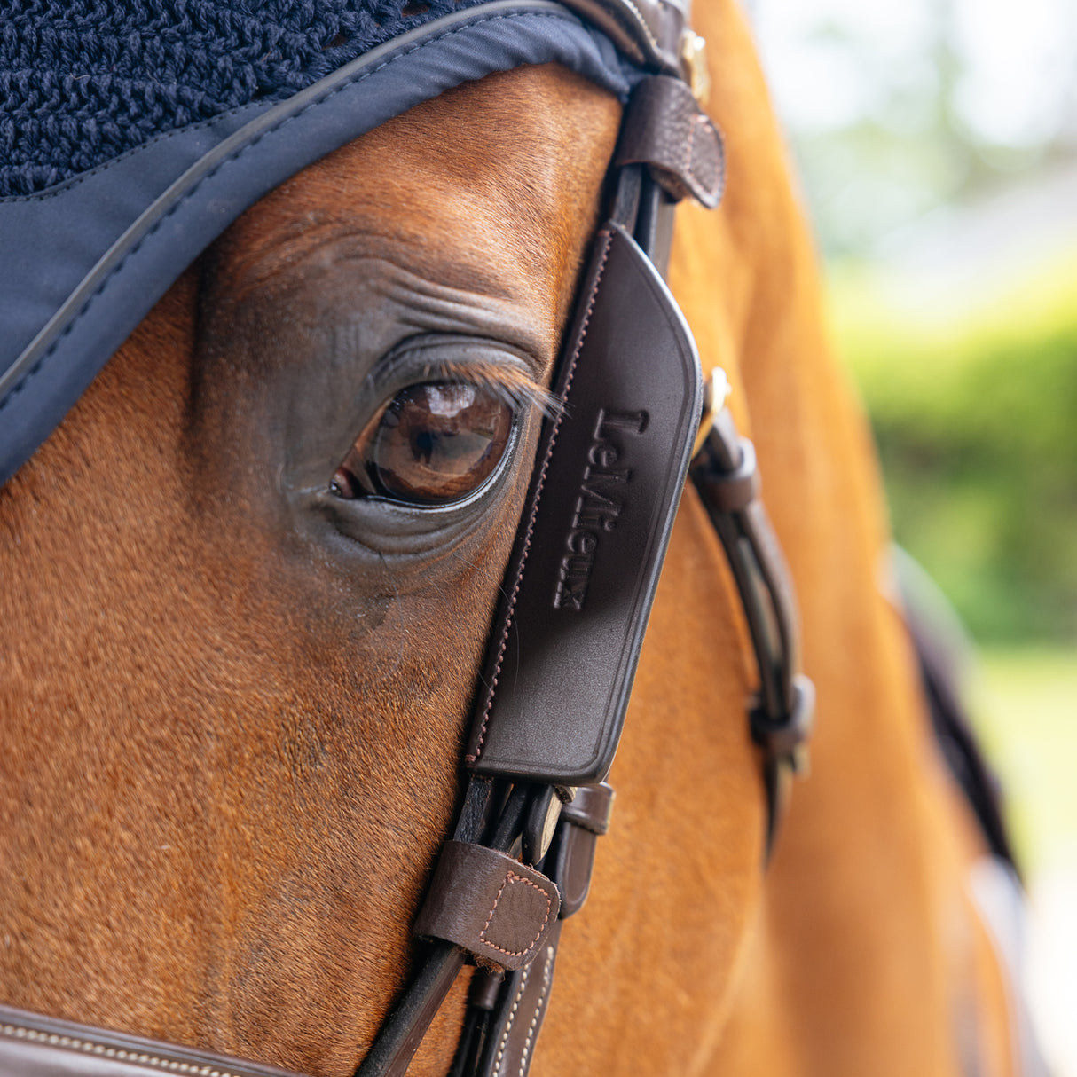 Œillères de bride en cuir LeMieux