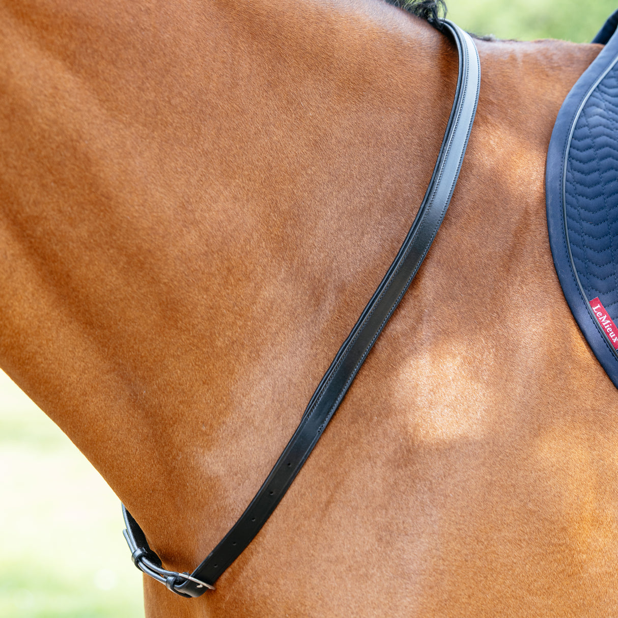 Sangle de cou LeMieux