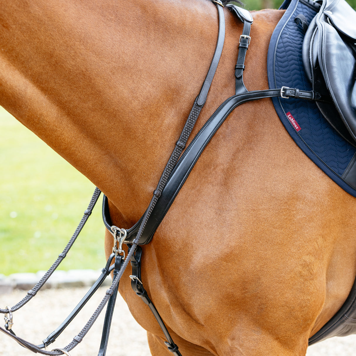 Plastron de pont LeMieux Kudos