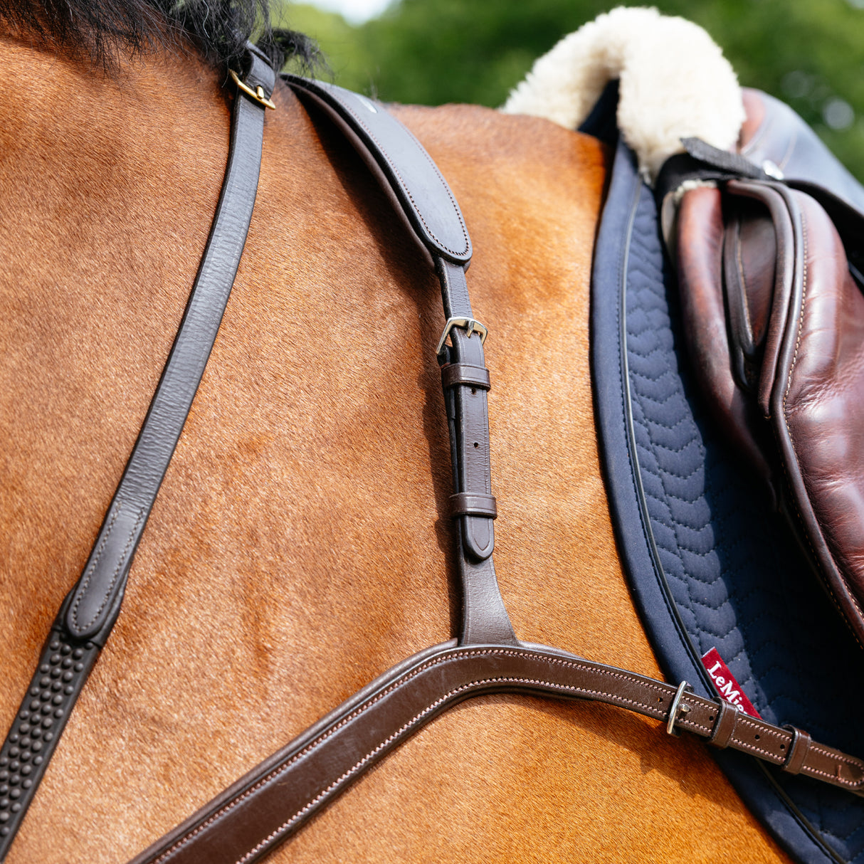 Plastron de pont LeMieux Kudos