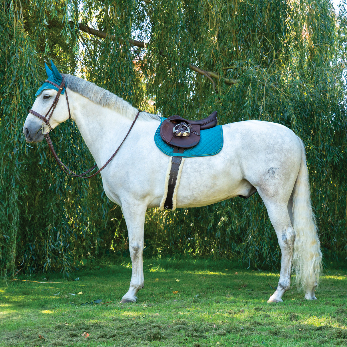 Shedrow Original Saddle Pad 2.0