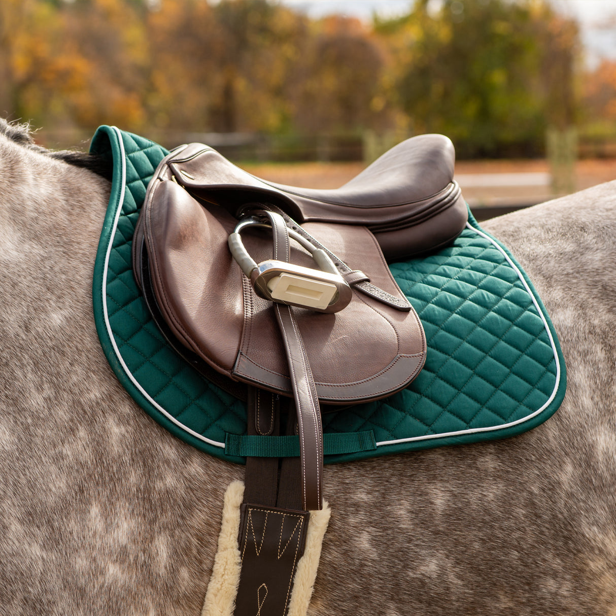Shedrow Original Saddle Pad 2.0