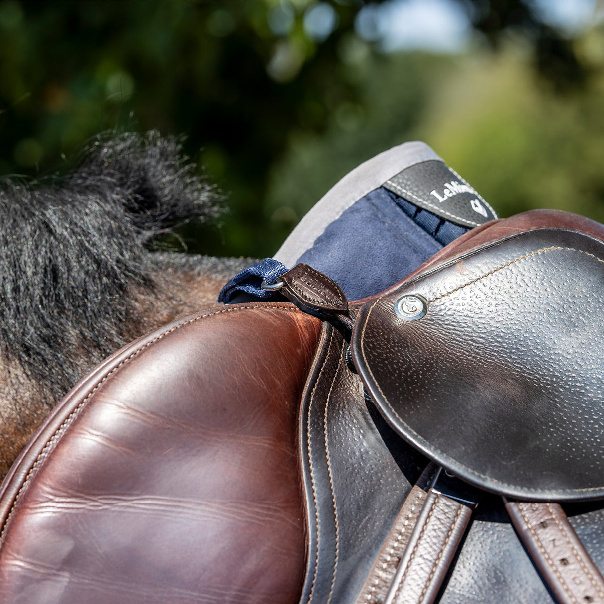 LeMieux D-Ring Extender