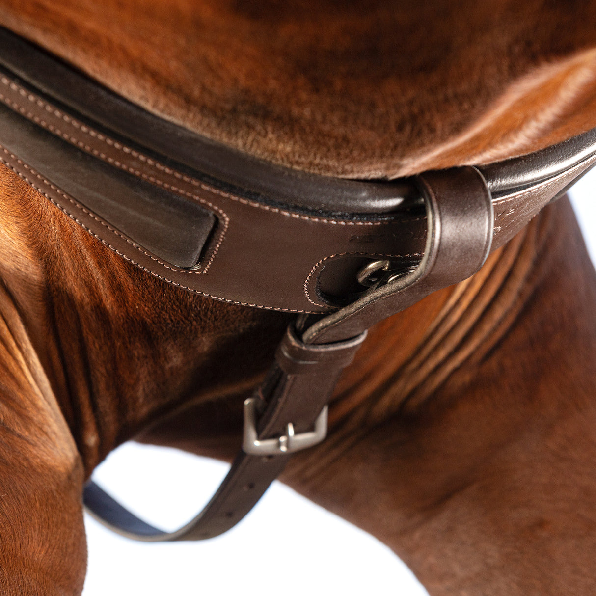 Cuirasse Rambo Micklem