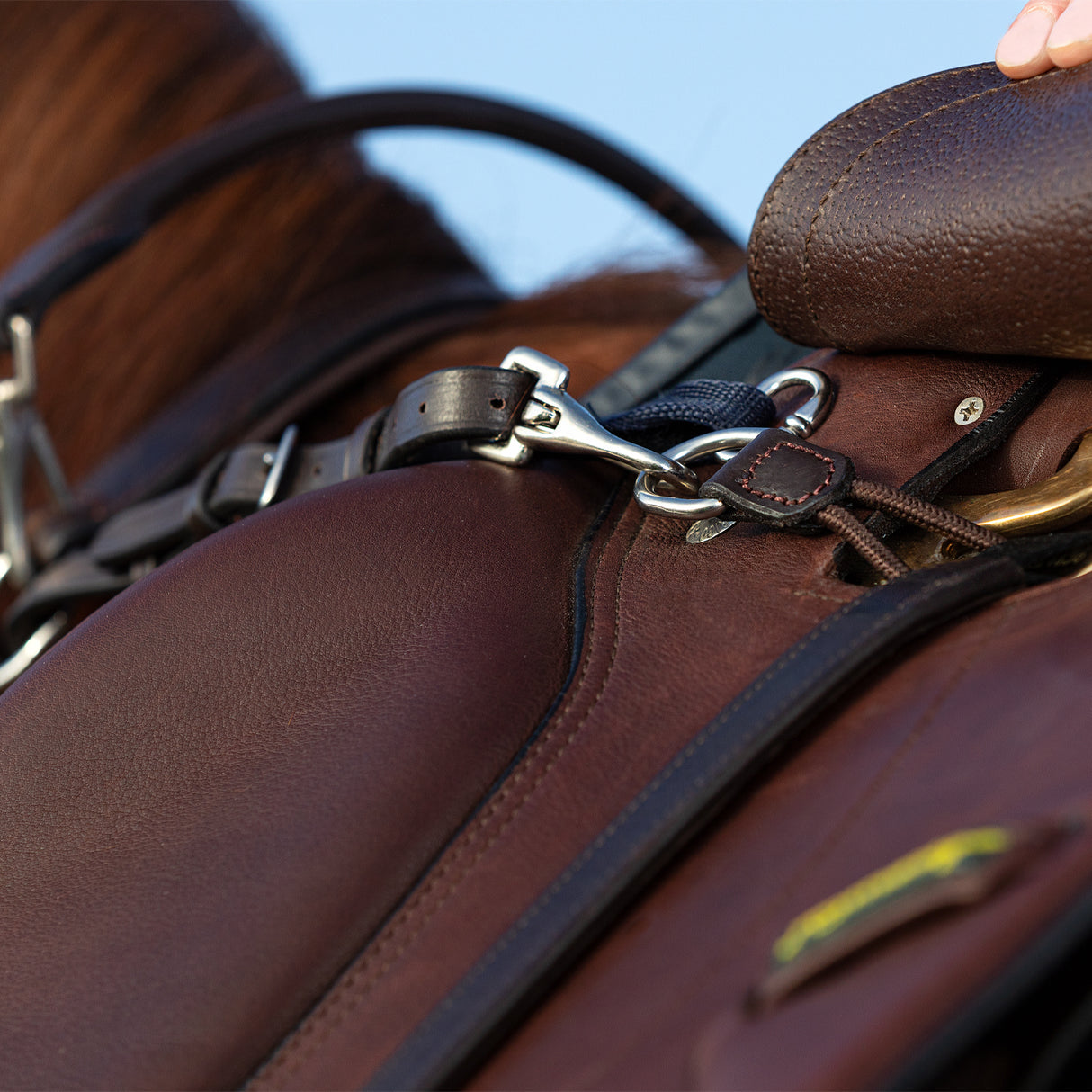 Cuirasse Rambo Micklem