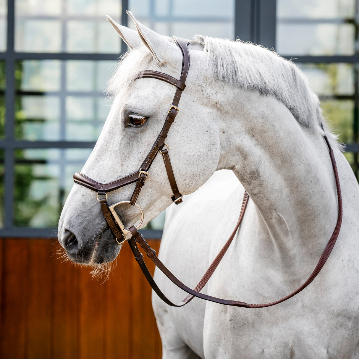 Bride de compétition Rambo Micklem Deluxe avec rênes