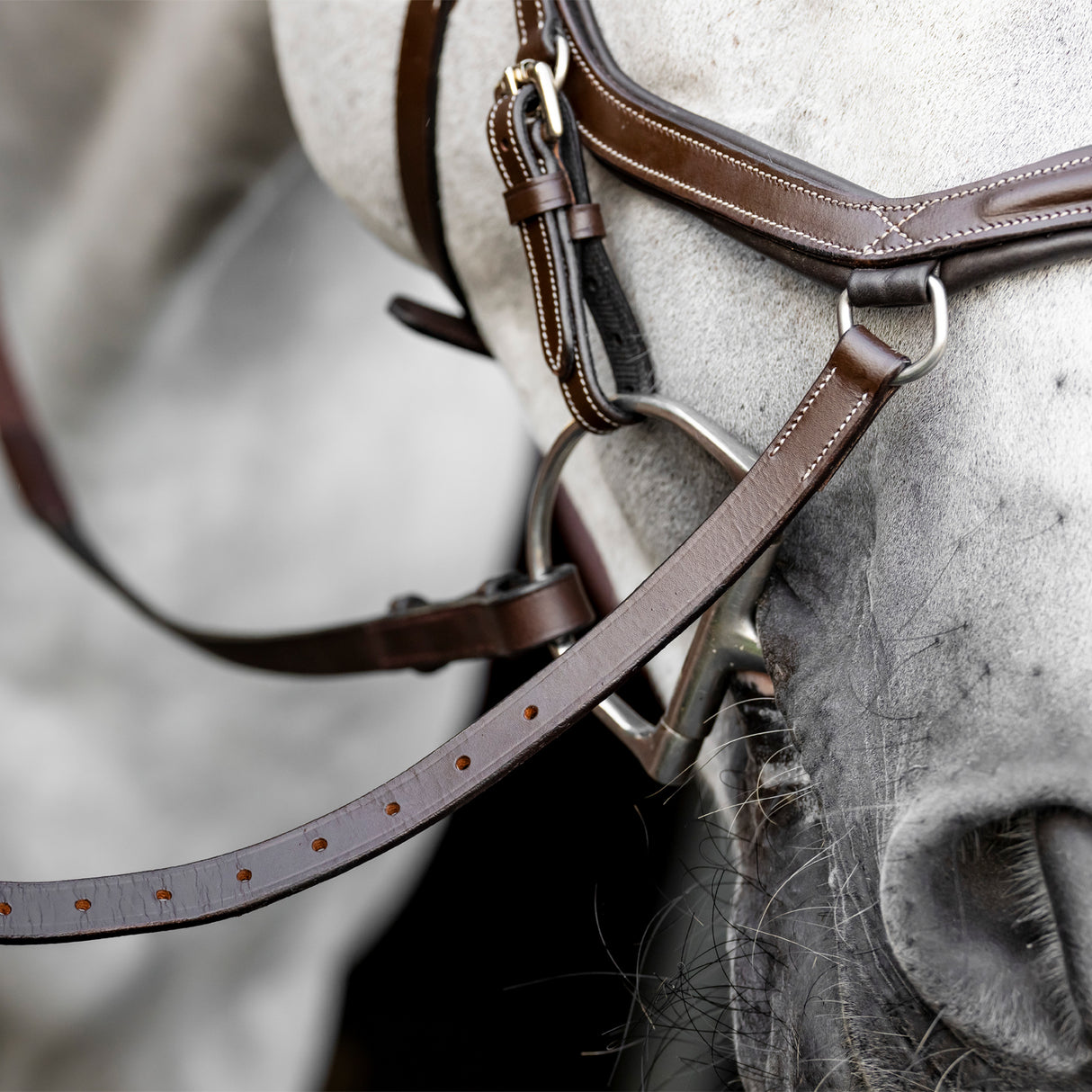 Bride de compétition Rambo Micklem Deluxe avec rênes