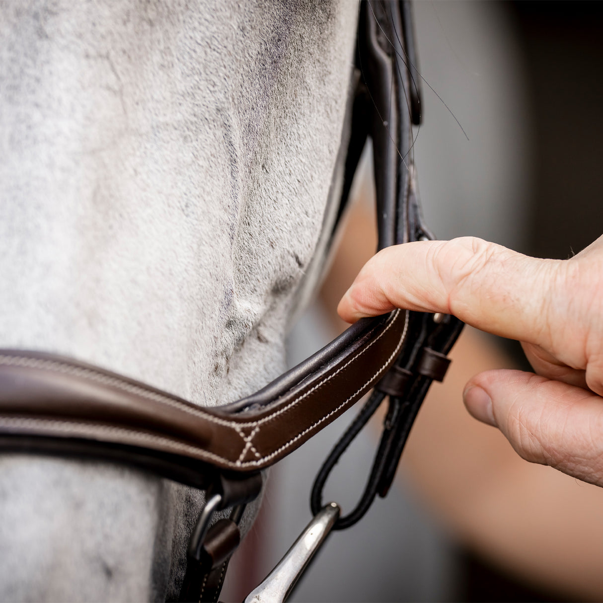 Bride de compétition Rambo Micklem Deluxe avec rênes