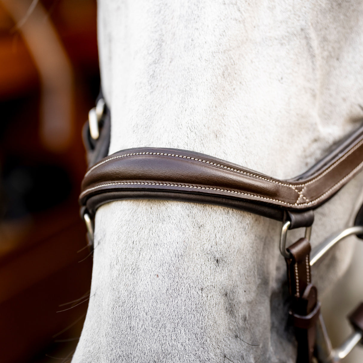Bride de compétition Rambo Micklem Deluxe avec rênes