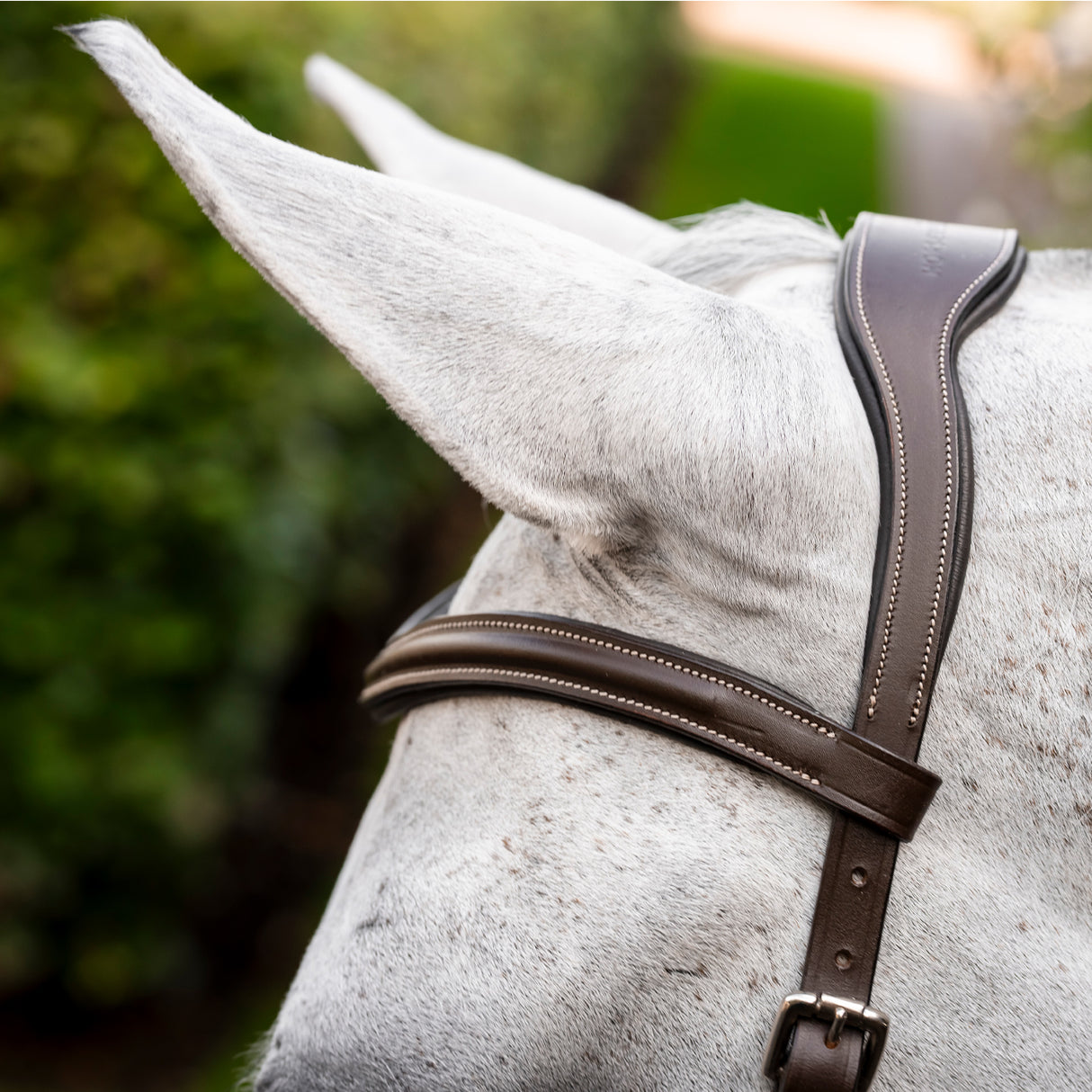 Bride de compétition Rambo Micklem Deluxe avec rênes