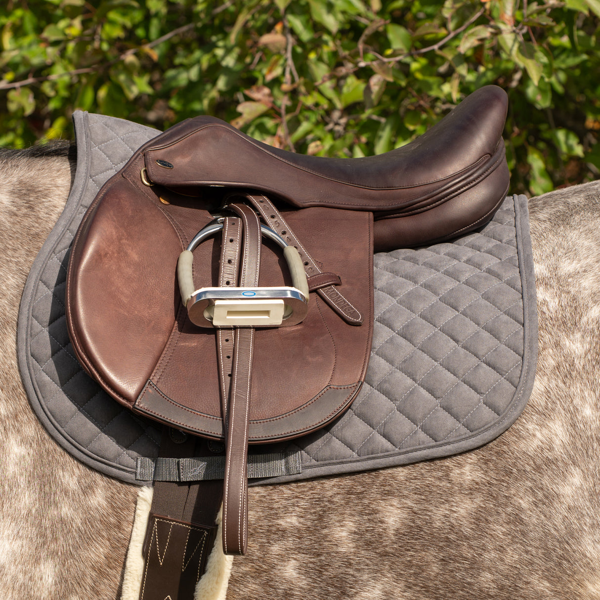 Tapis de selle Shedrow Stryde