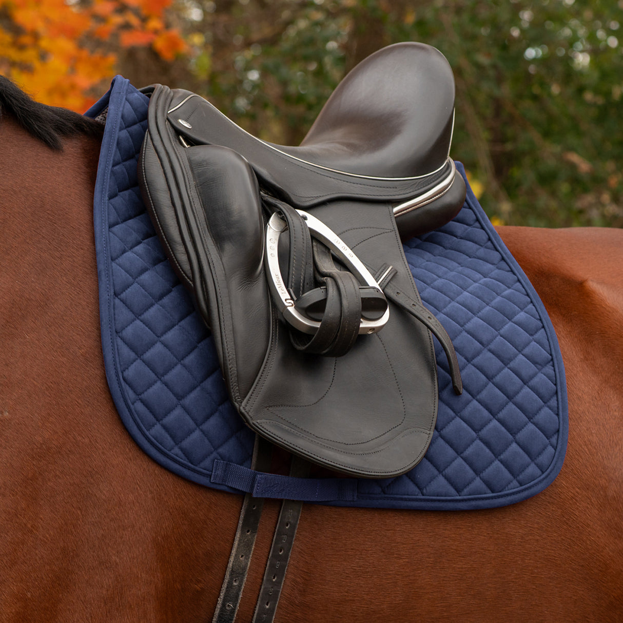 Shedrow Stryde Dressage Saddle Pad