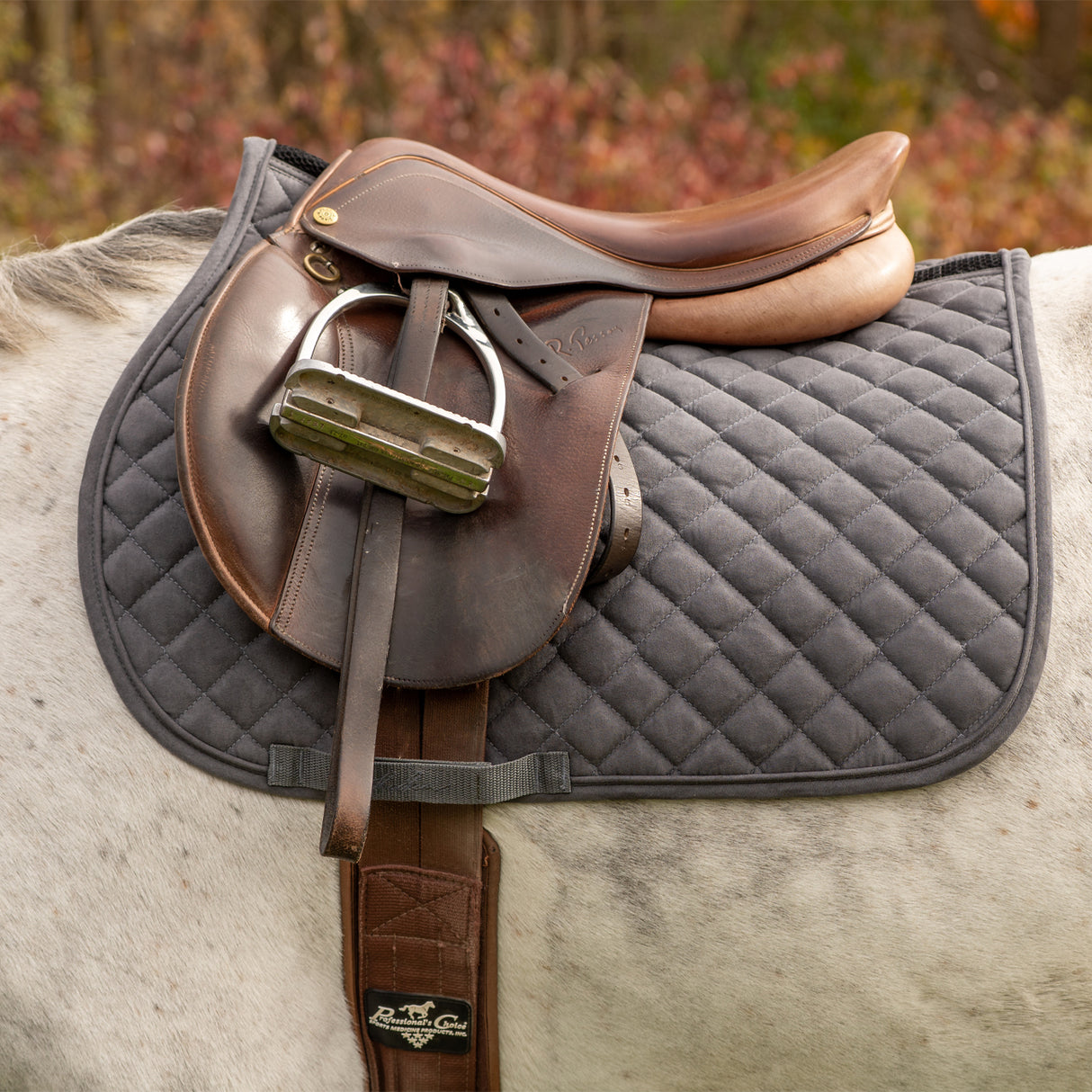 Tapis de selle pour poney Shedrow Stryde
