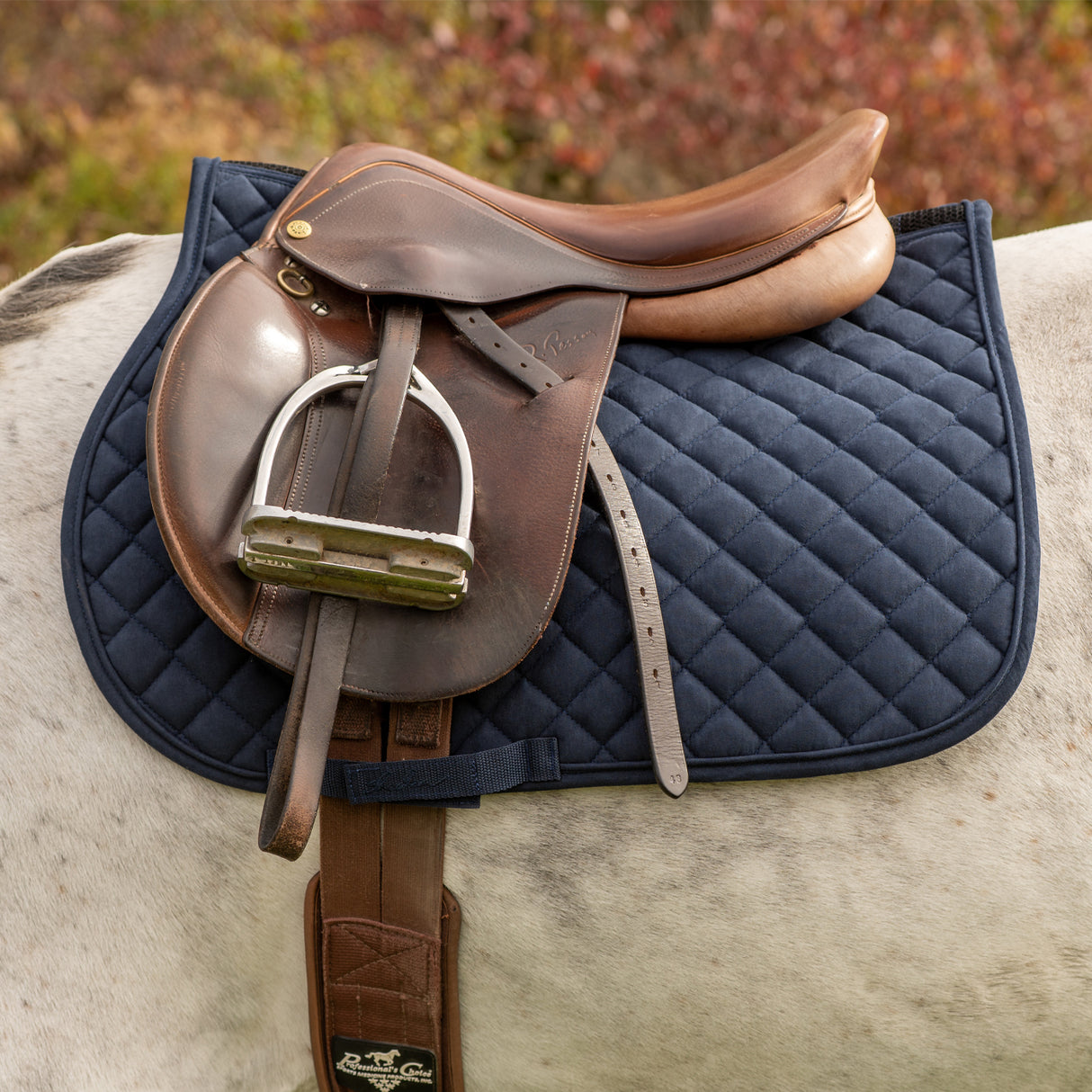 Tapis de selle pour poney Shedrow Stryde