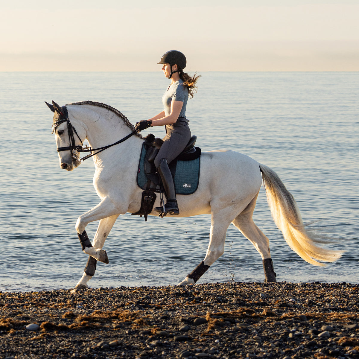 Tapis de Selle de Dressage LeMieux Earth