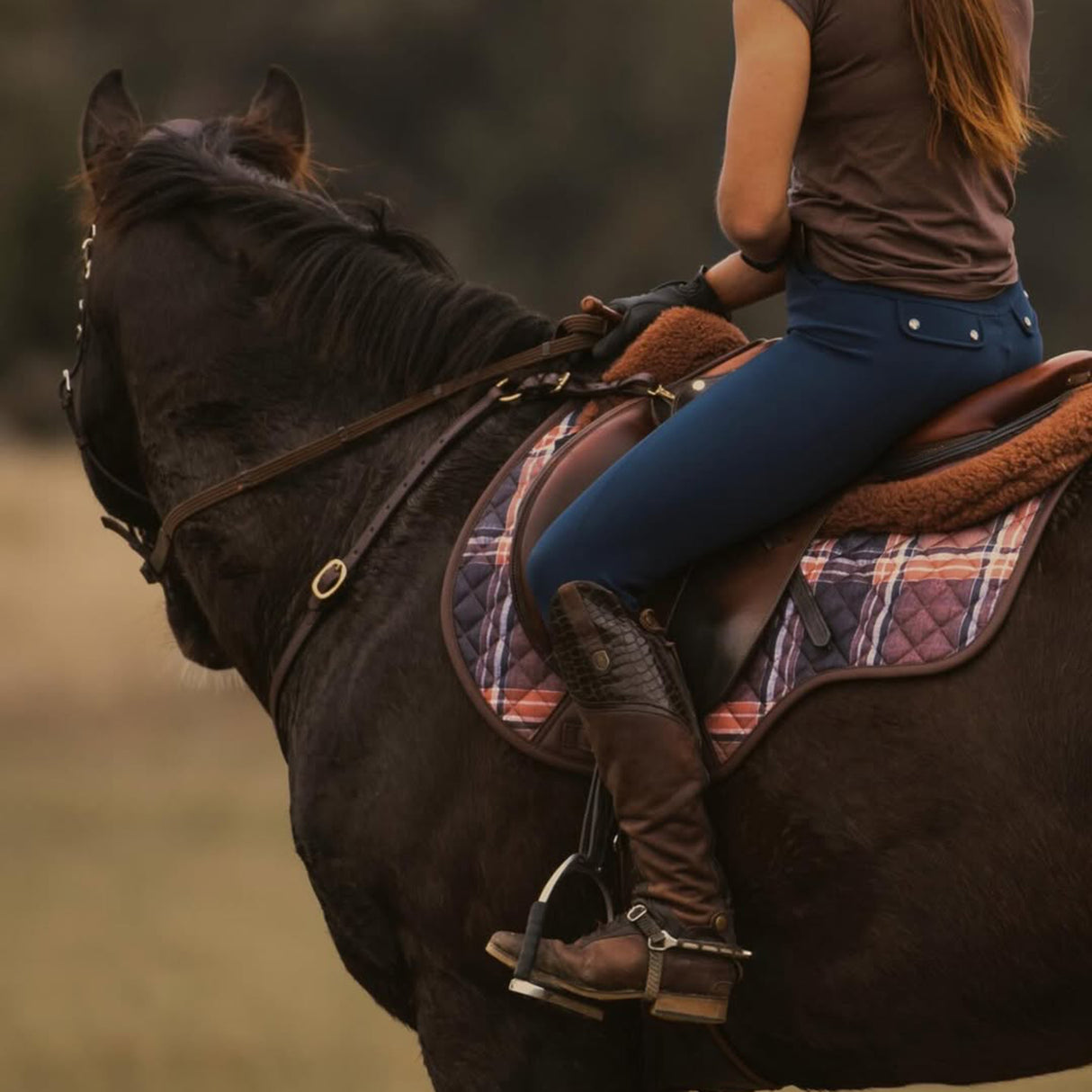 Sixteen Cypress Field Plaid Close Contact Saddle Pad