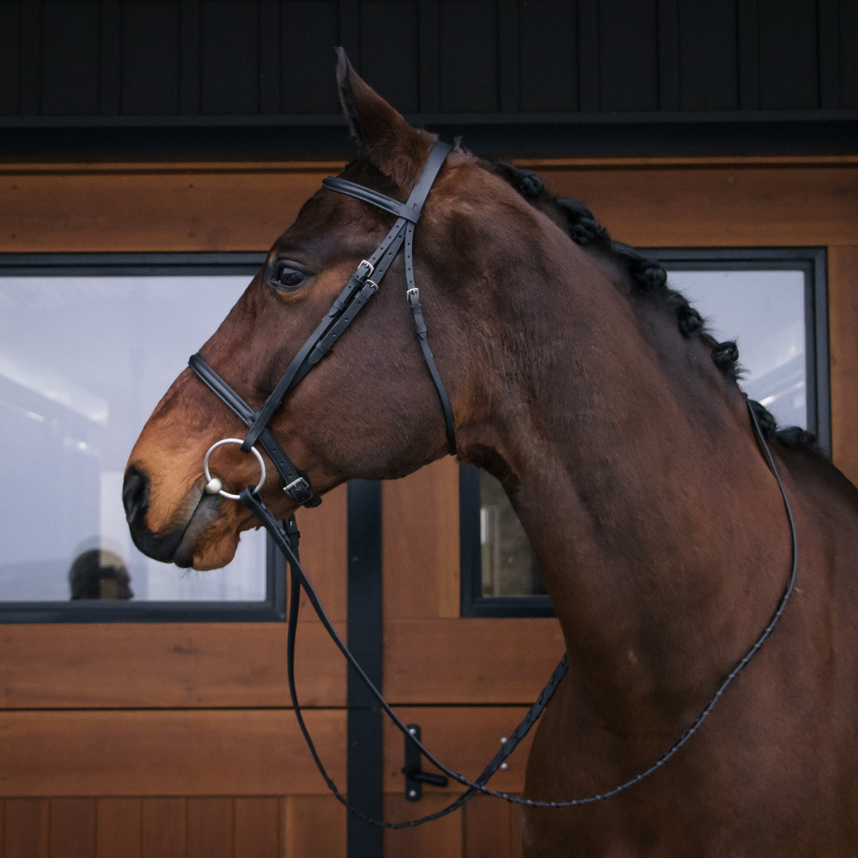 Connemara Bridle