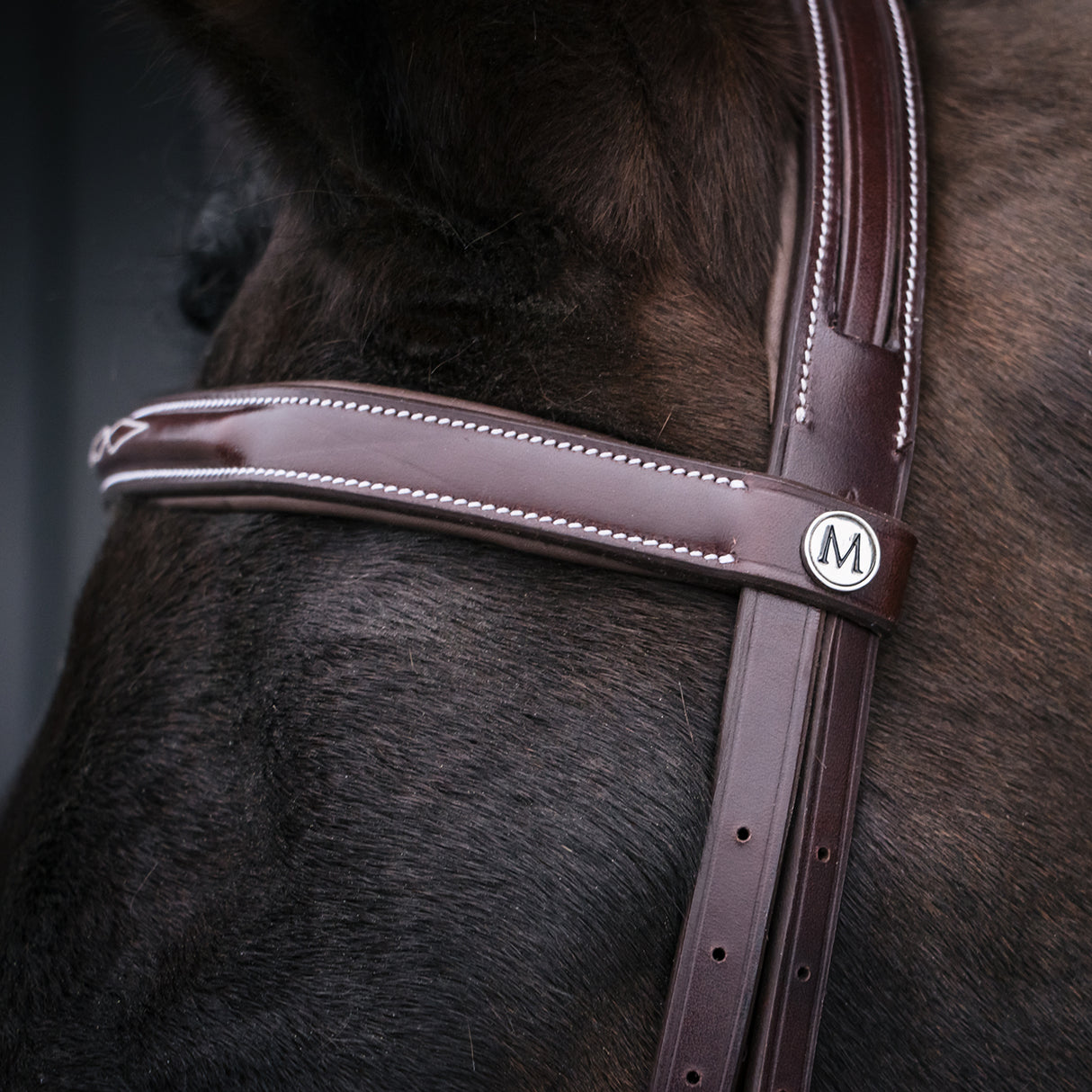 Mondega Coretto Wide Noseband Hunter Bridle