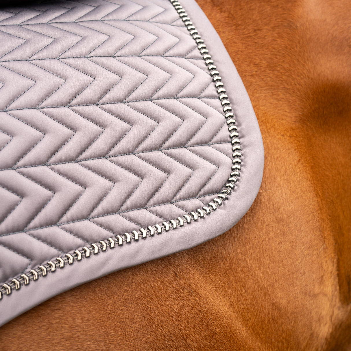 Tapis de selle Shedrow Saber