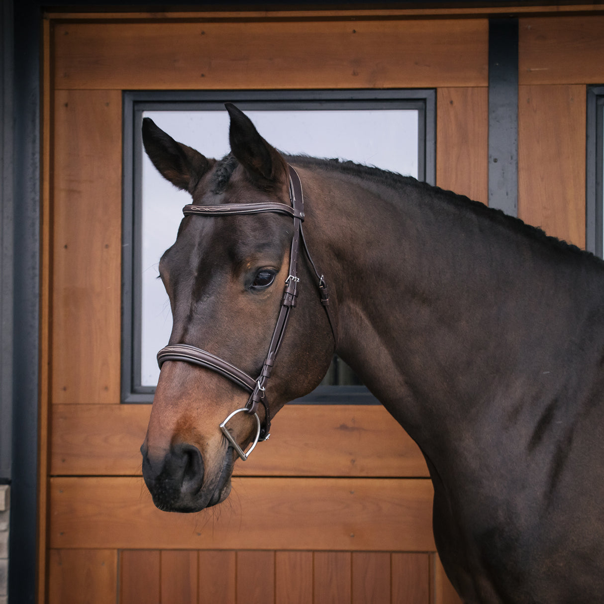 Mondega Marocchino Hunter Bridle