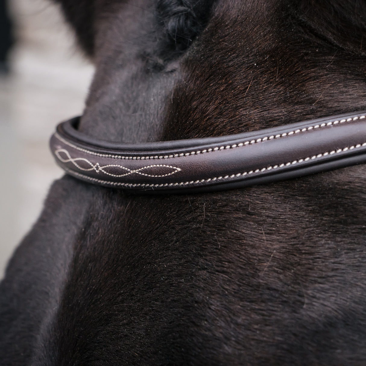 Mondega Marocchino Hunter Bridle