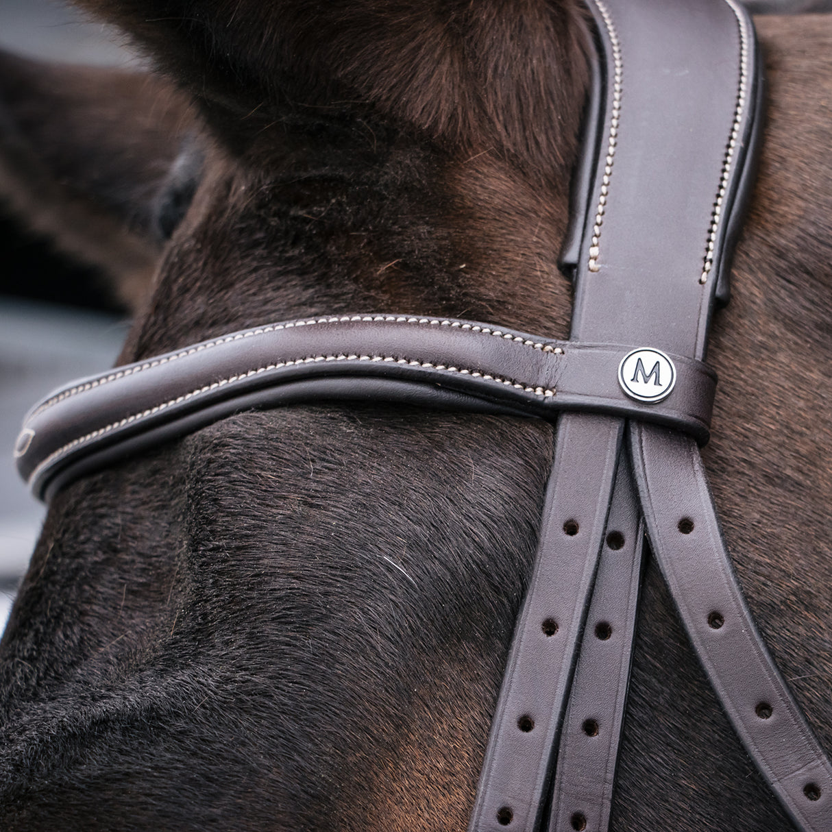 Mondega Marocchino Hunter Bridle