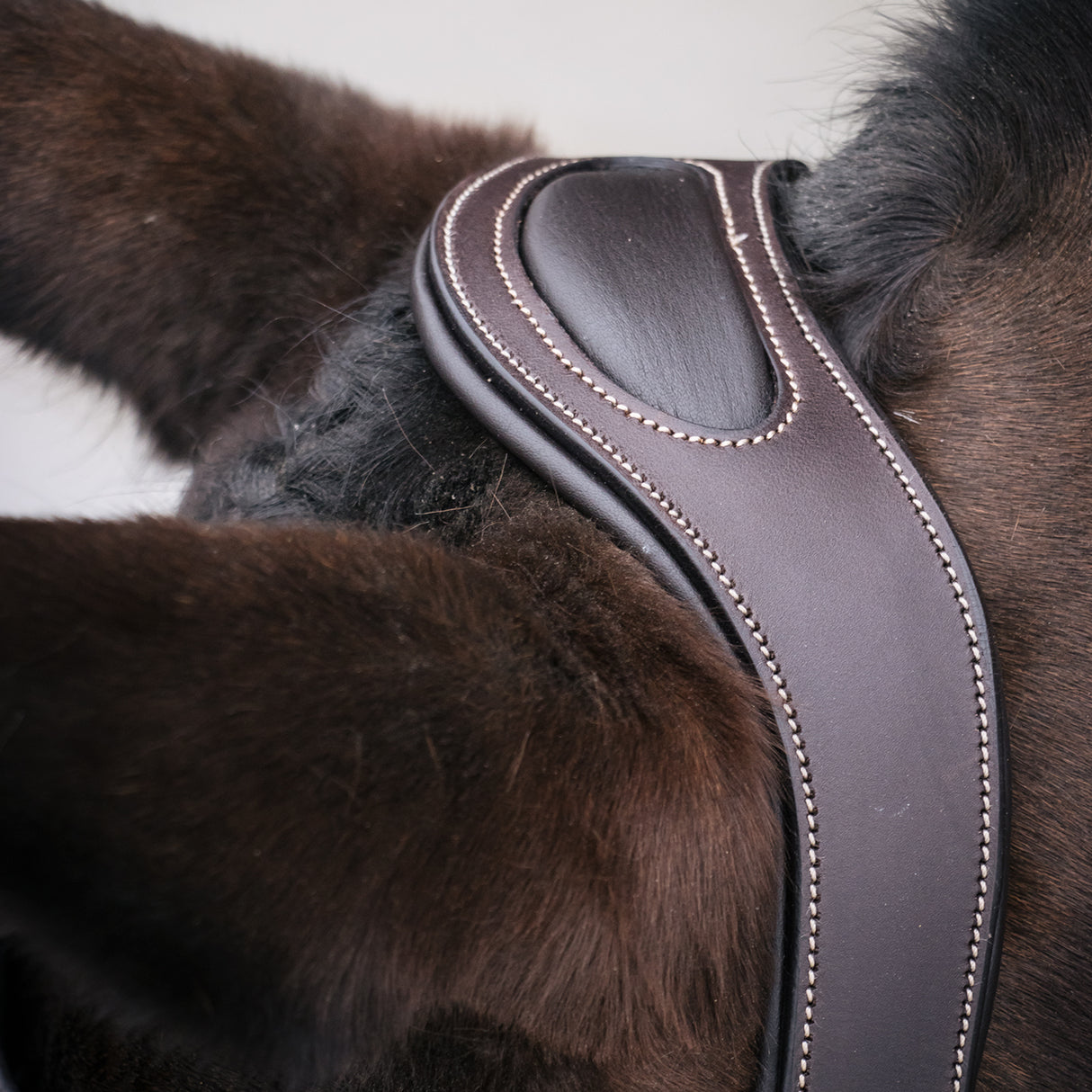 Mondega Marocchino Hunter Bridle