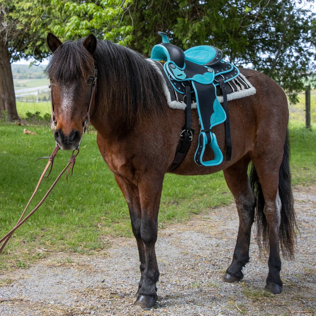 Selle synthétique pour poney western Silverline