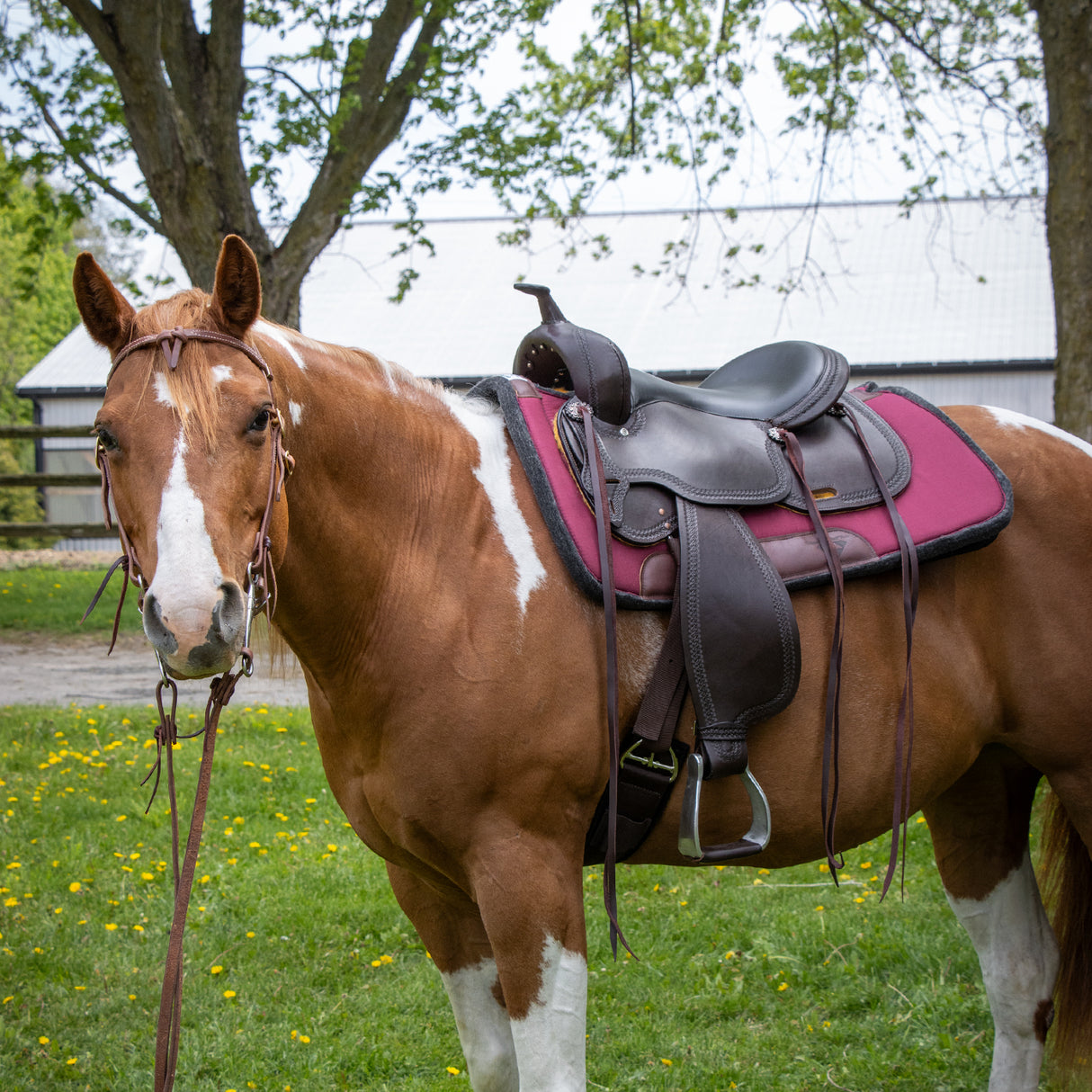Tapis de selle de ranch profilé en laine diamantée
