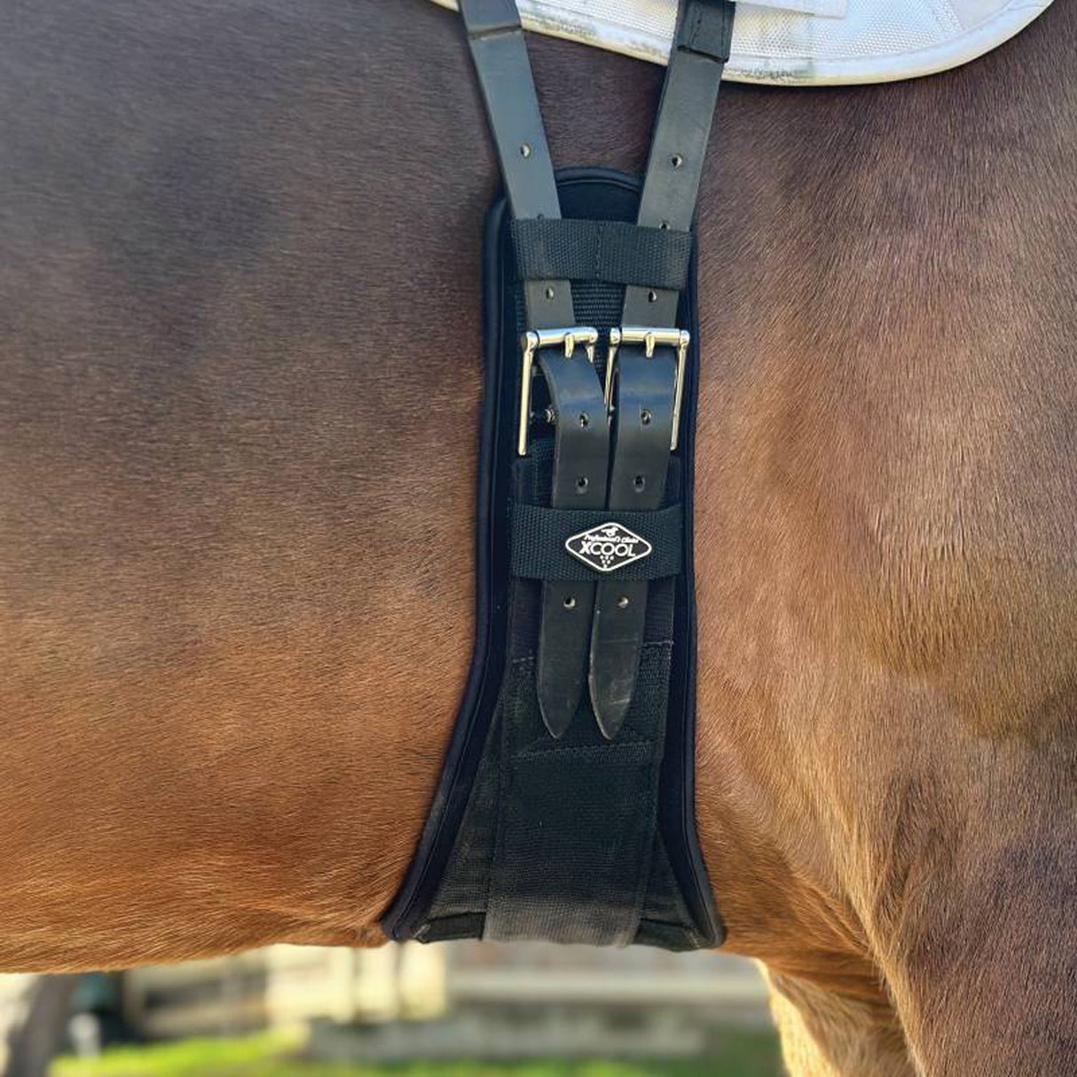 Sangle de dressage Professional's Choice 2XCool