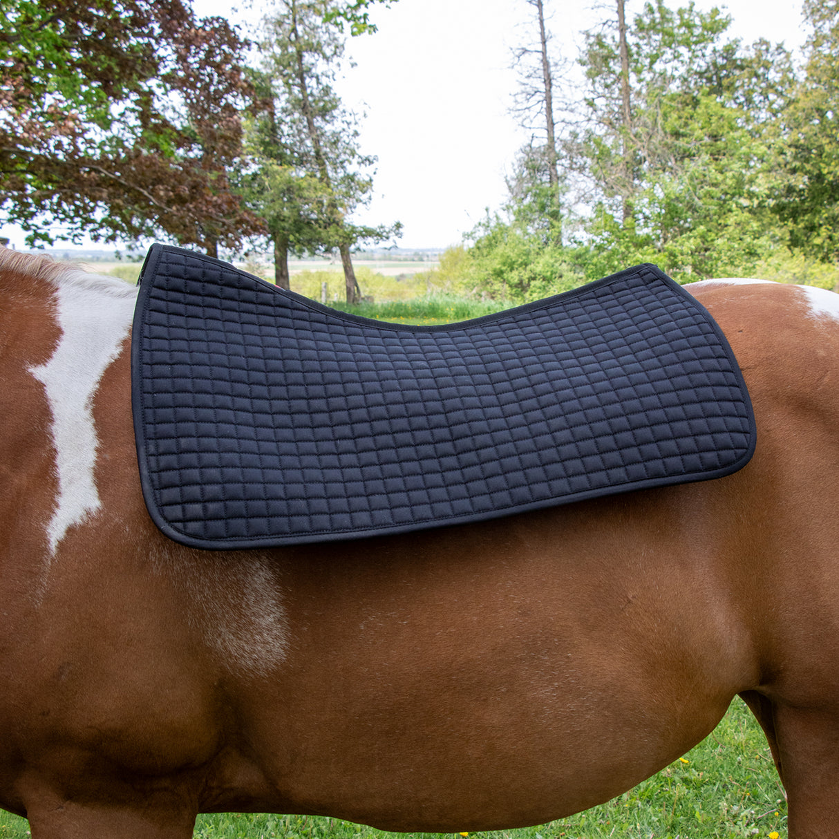 Sous-tapis western Thermal Therapy
