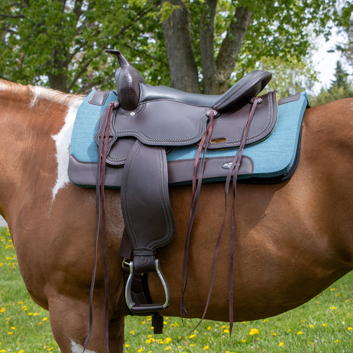 Tapis de selle western en feutre confortable pressé à la vapeur Professional's Choice