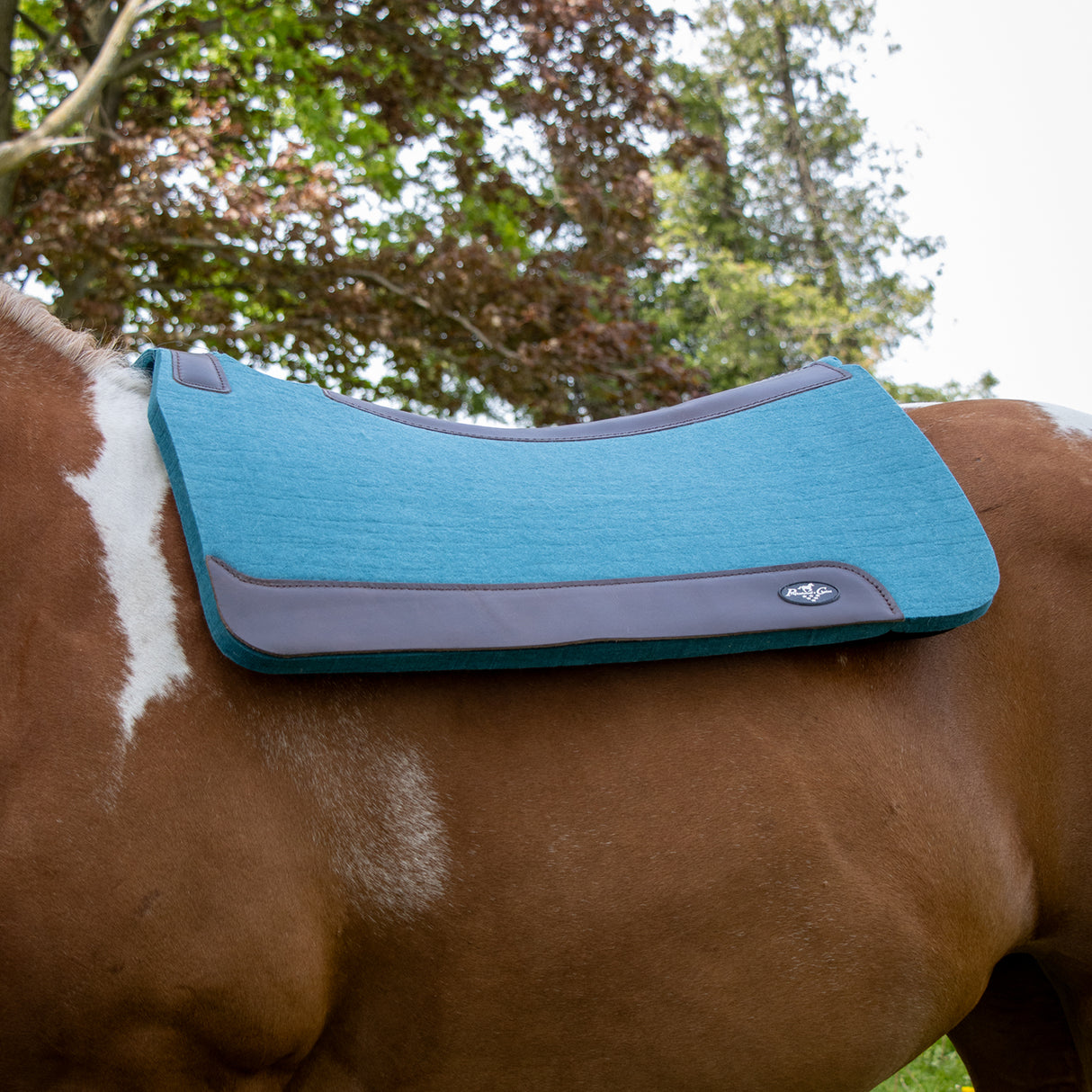 Tapis de selle western en feutre confortable pressé à la vapeur Professional's Choice