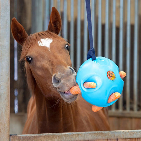 Shires Carrot Ball