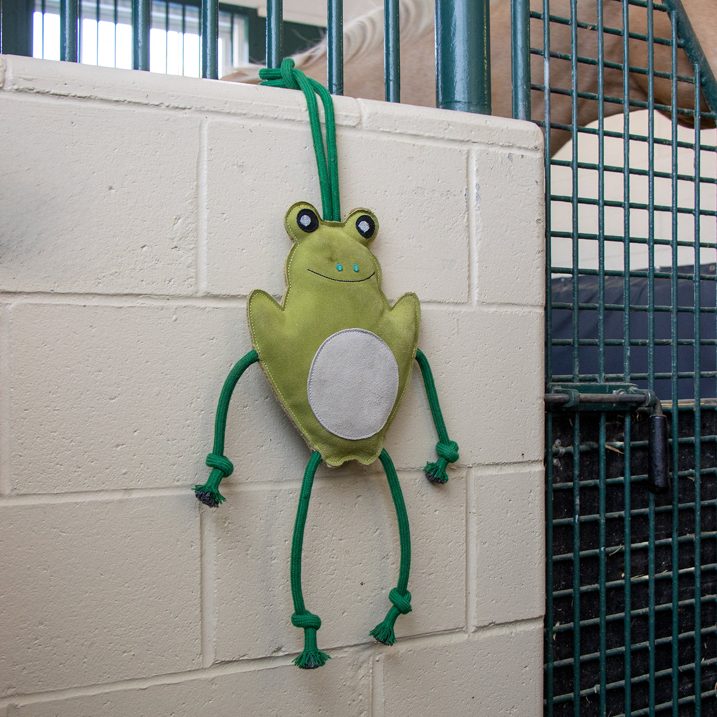 Cheval Grenouille en Jouet Holland James