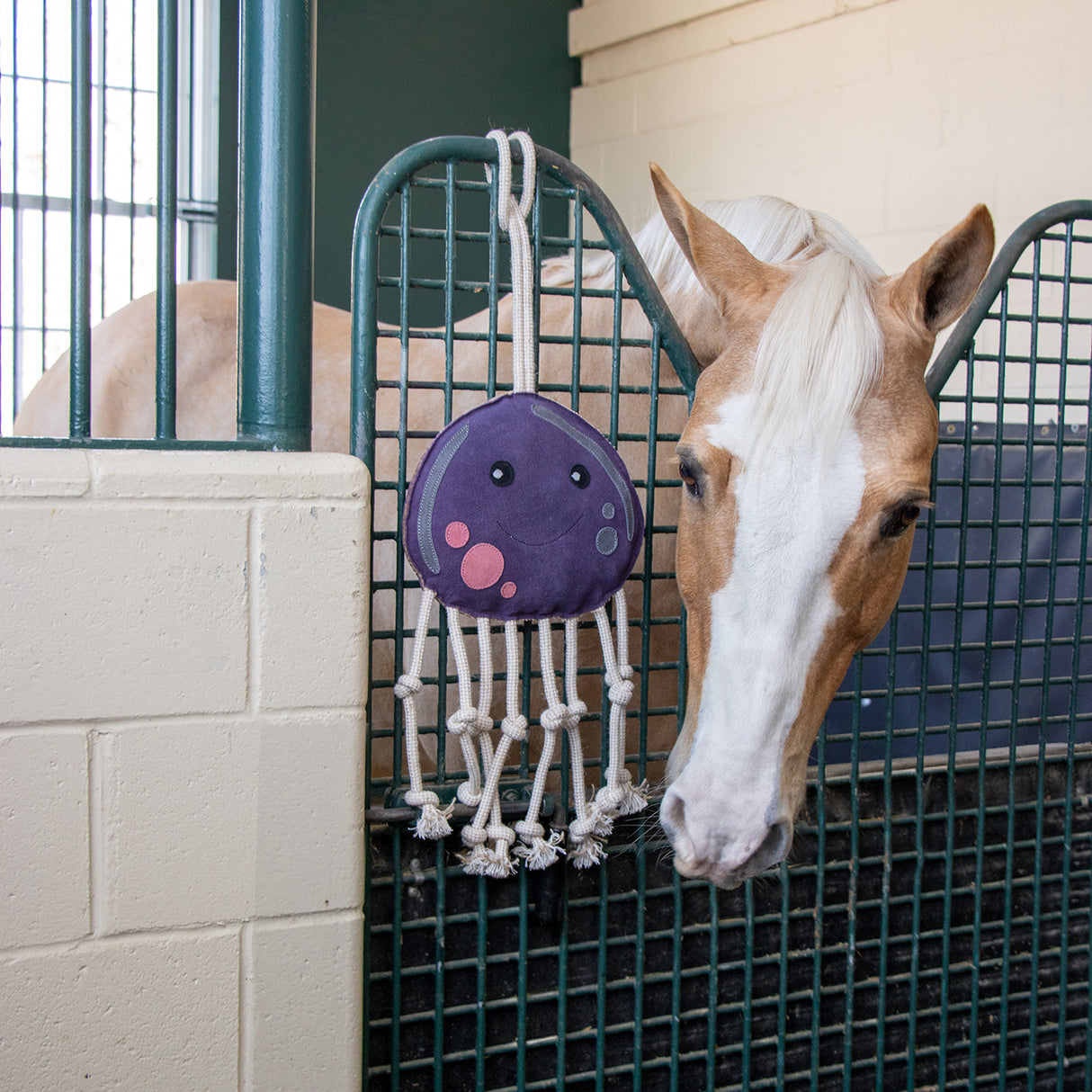 Cheval pieuvre en jouet Holland James