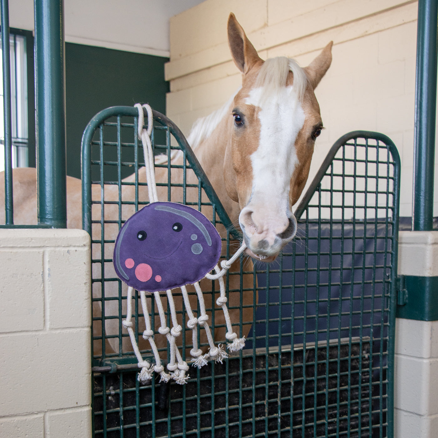 Cheval pieuvre en jouet Holland James