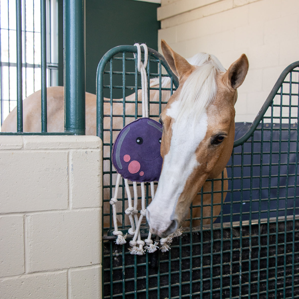 Cheval pieuvre en jouet Holland James