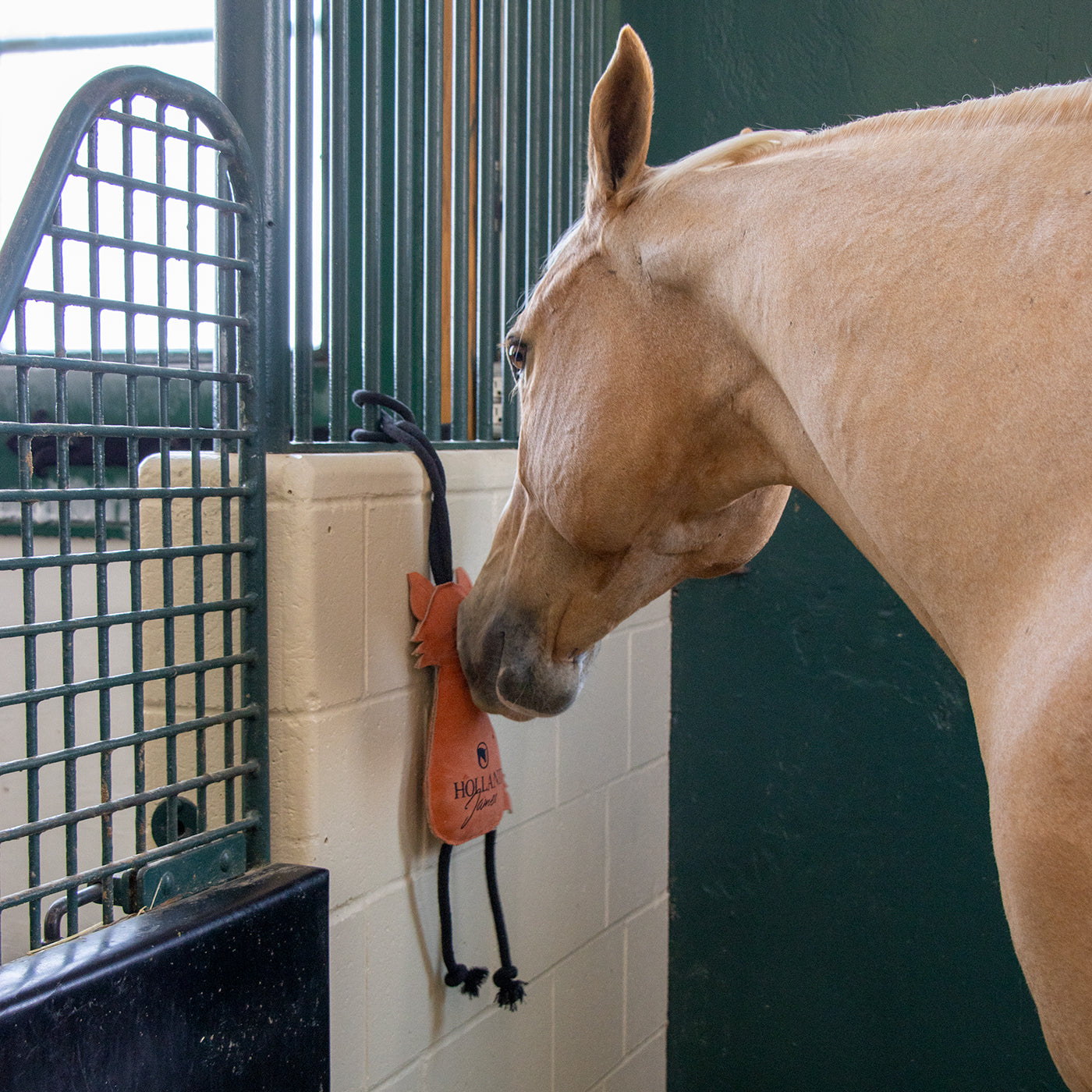 Cheval en jouet Holland James Fox