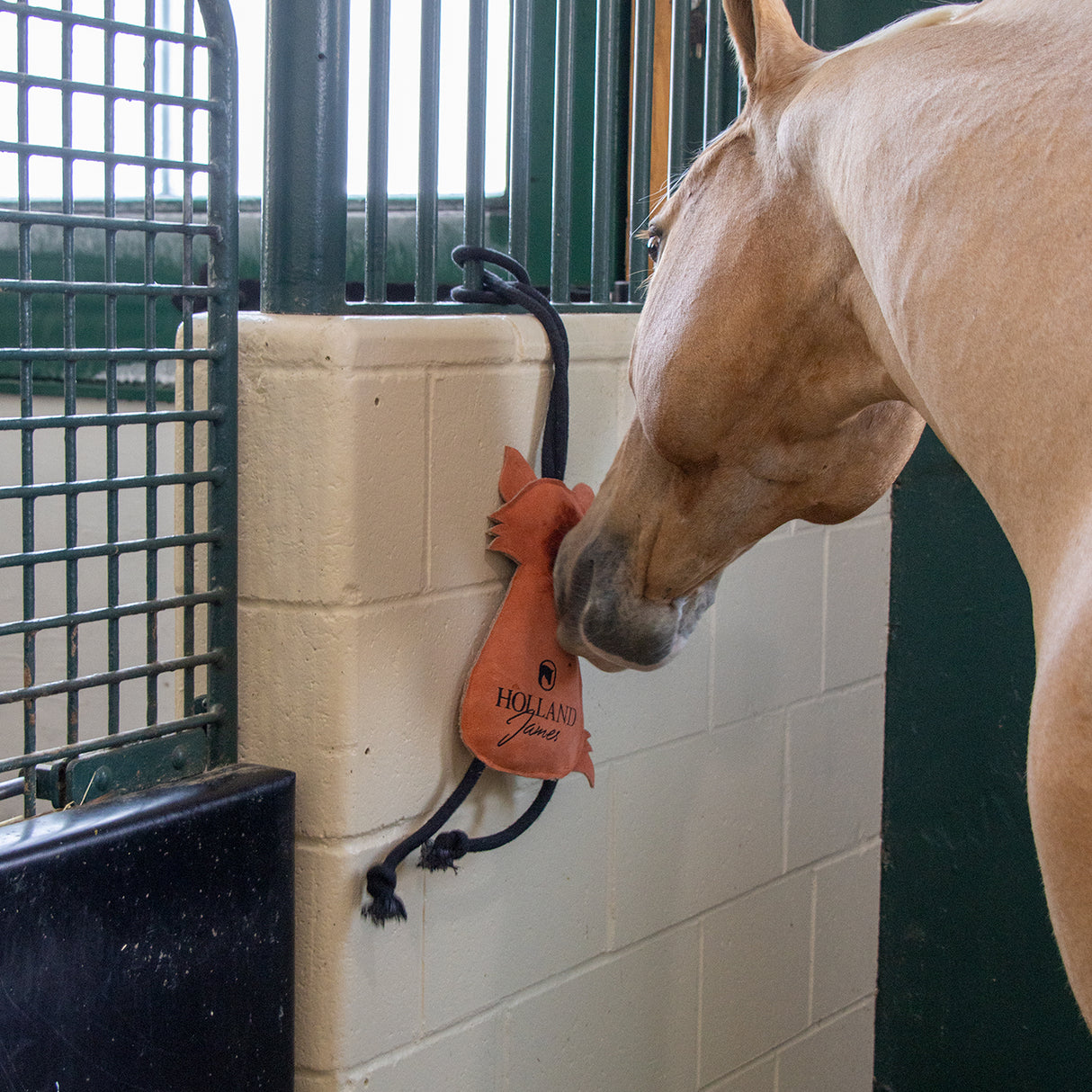 Holland James Fox Horse Toy