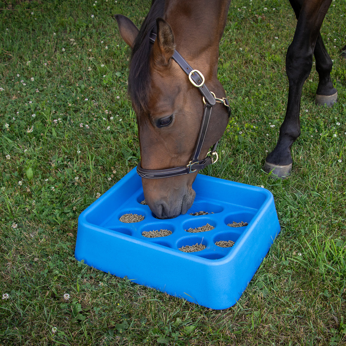 Alimentateur progressif Parallax