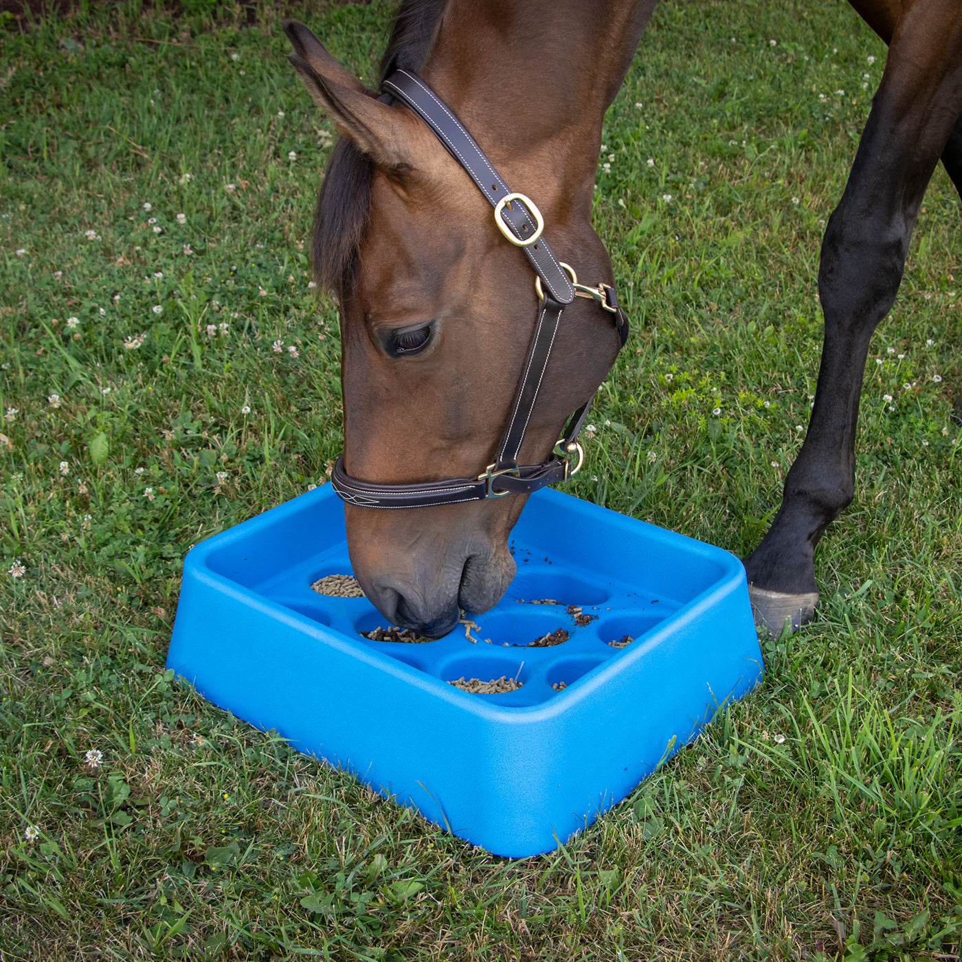 Alimentateur progressif Parallax