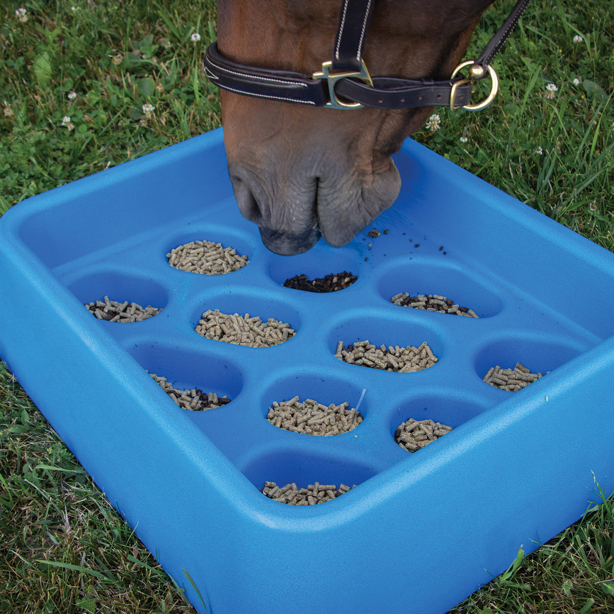 Alimentateur progressif Parallax