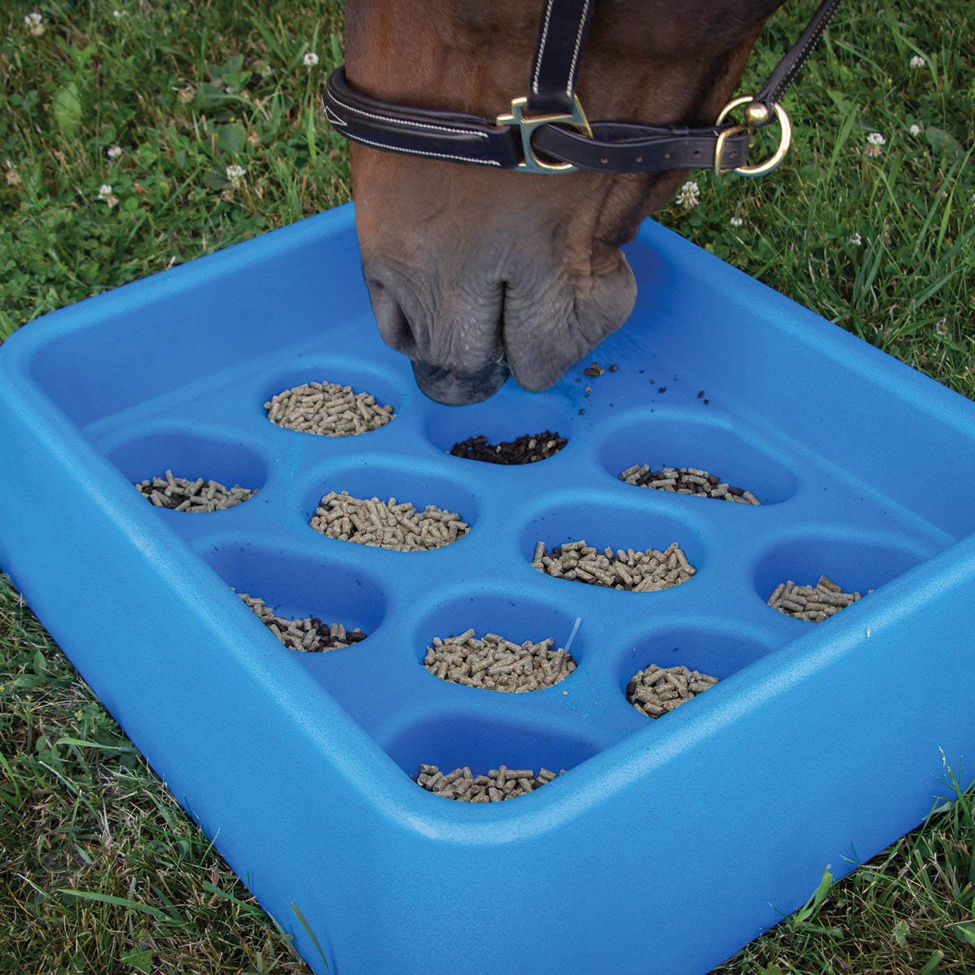 Alimentateur progressif Parallax